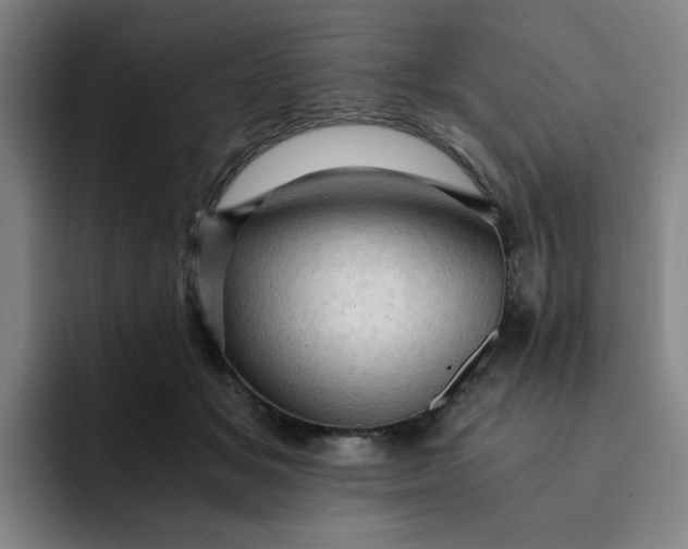 X0000091900509200709261700