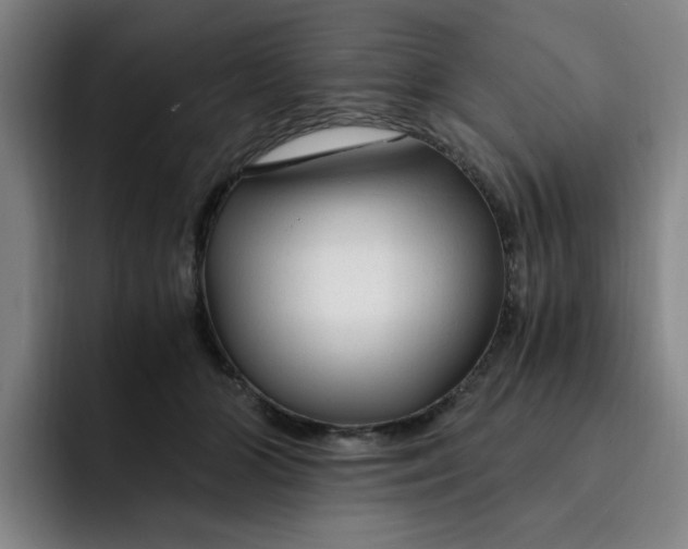 X0000091900510200709261700