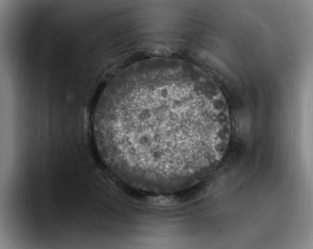 X0000091900511200709261700