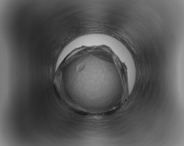 X0000091900512200709261700