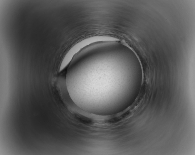 X0000091900515200709261700