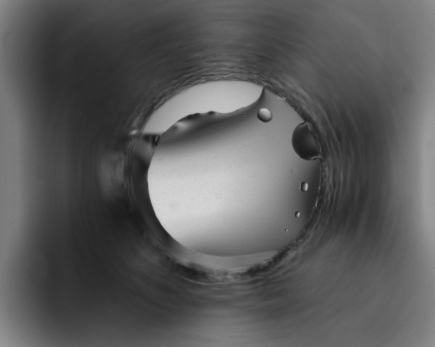 X0000091900516200709261700