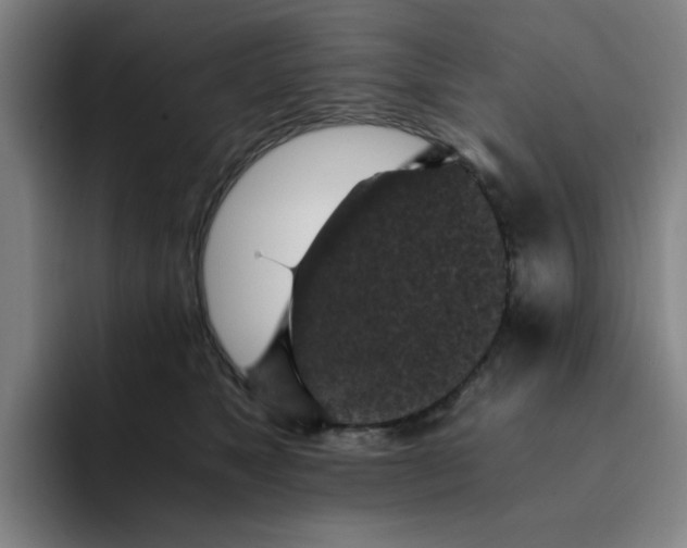 X0000091900517200709261700