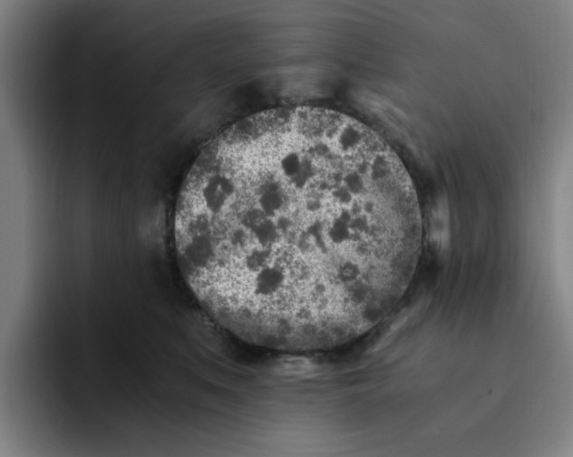 X0000091900519200709261700