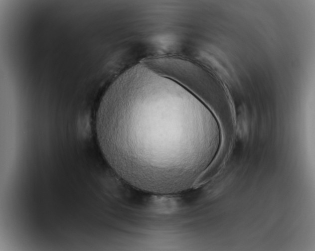 X0000091900520200709261700