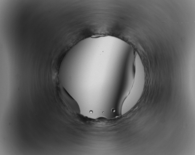 X0000091900521200709261700