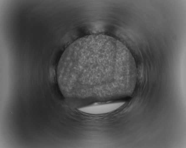 X0000091900523200709261700