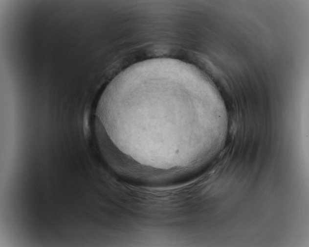 X0000091900524200709261700