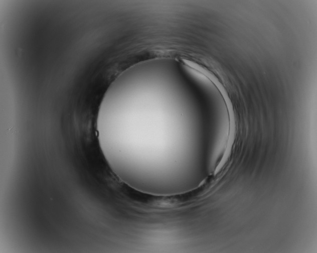 X0000091900525200709261700