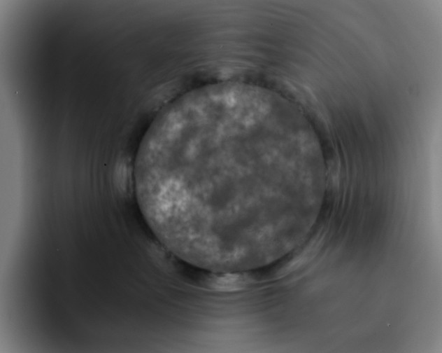 X0000091900527200709261700