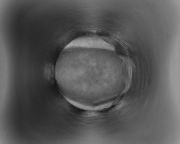 X0000091900528200709261700