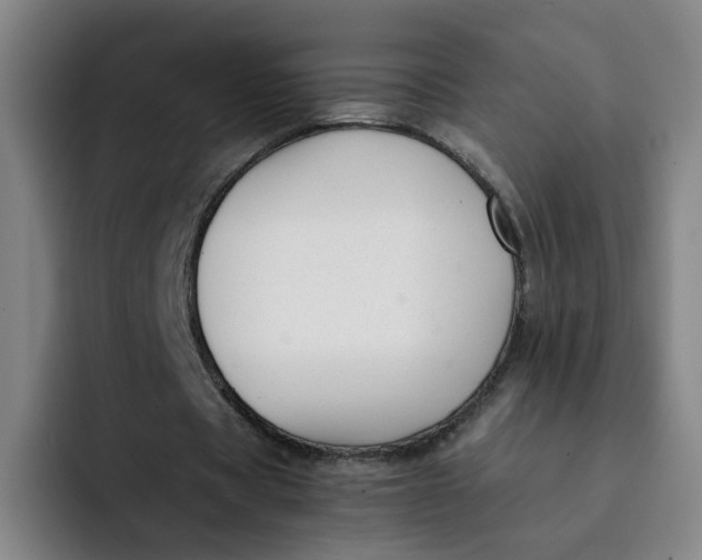 X0000091900529200709261659