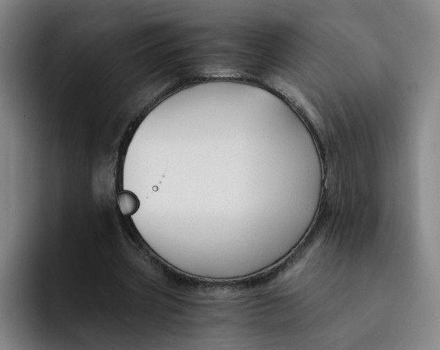 X0000091900533200709261659