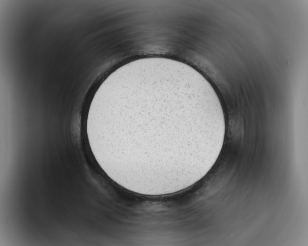 X0000091900534200709261659