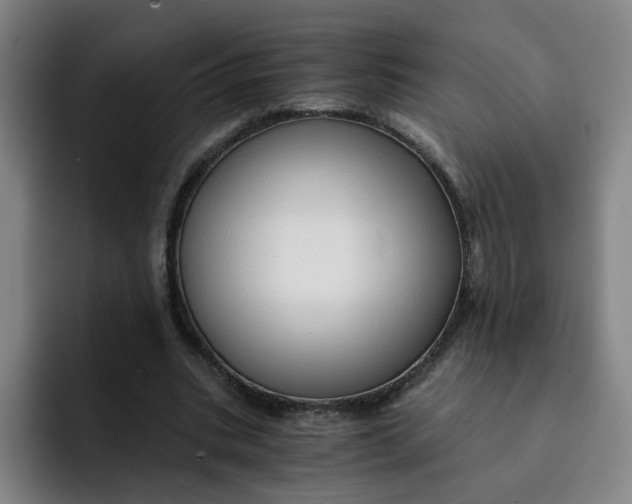 X0000091900535200709261659