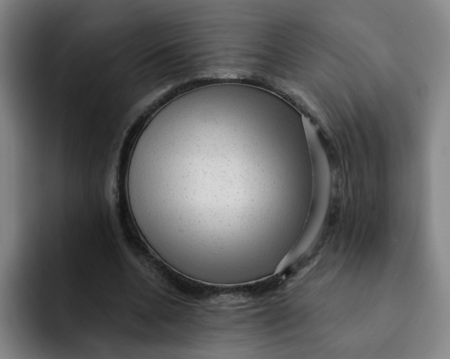 X0000091900536200709261659