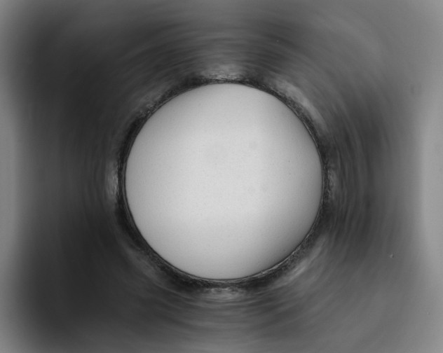 X0000091900541200709261659