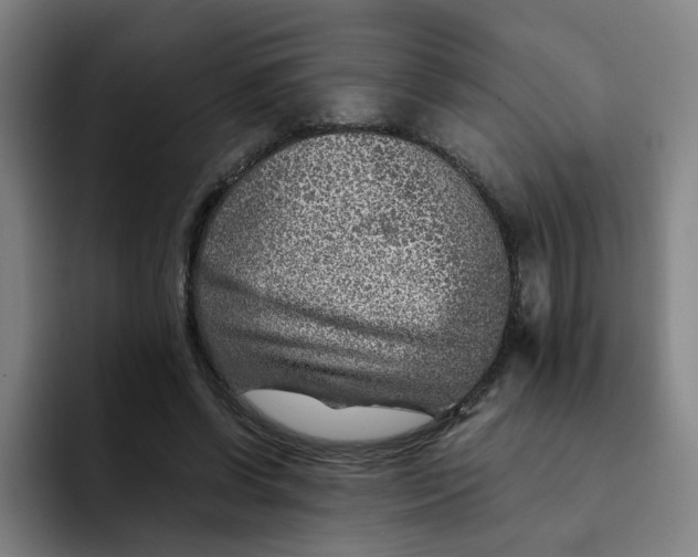 X0000091900542200709261659