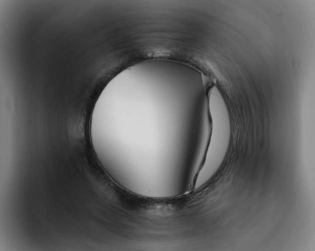 X0000091900543200709261659