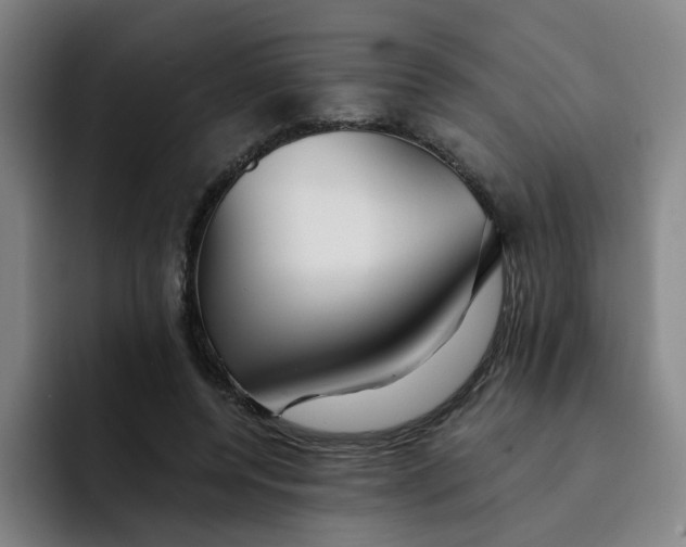 X0000091900544200709261659