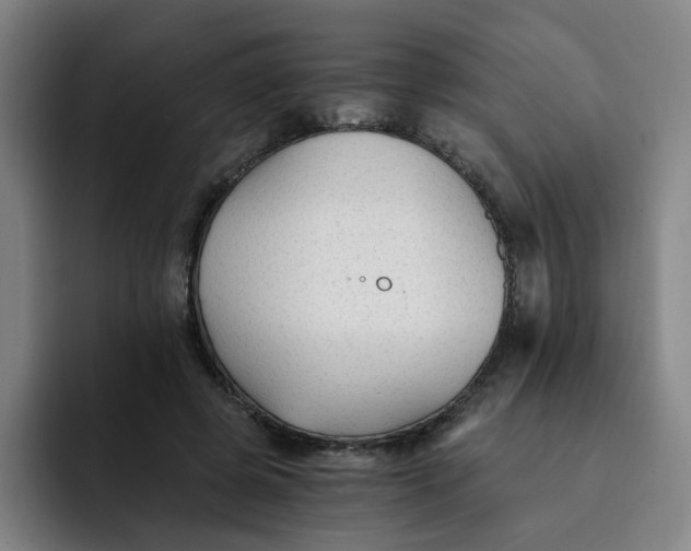 X0000091900545200709261659