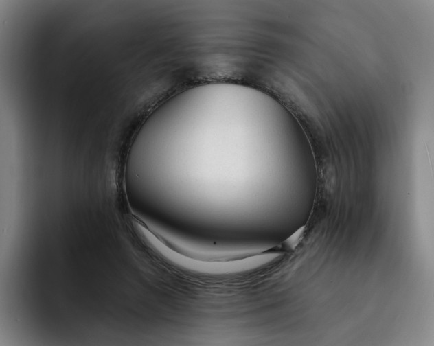 X0000091900546200709261659