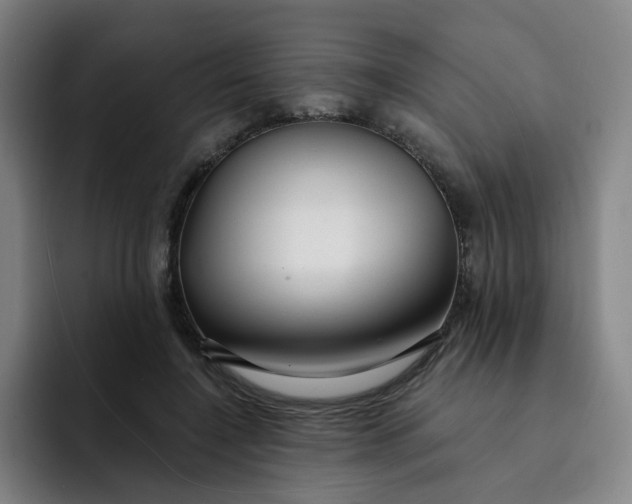 X0000091900548200709261659