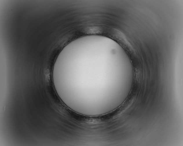 X0000091900549200709261659