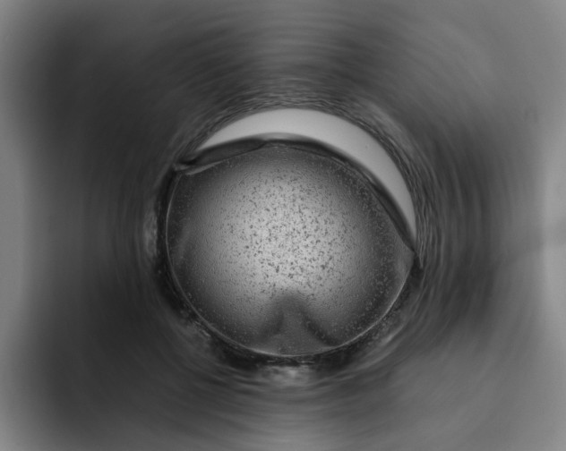 X0000091900552200709261659