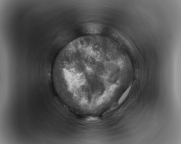 X0000091900553200709261659