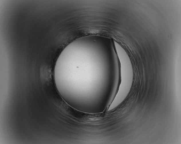 X0000091900555200709261659