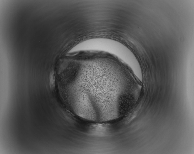 X0000091900558200709261700