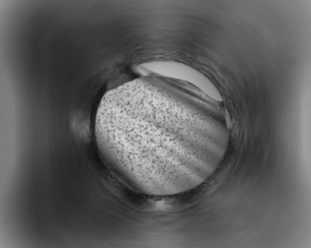 X0000091900564200709261700