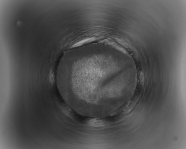 X0000091900568200709261700