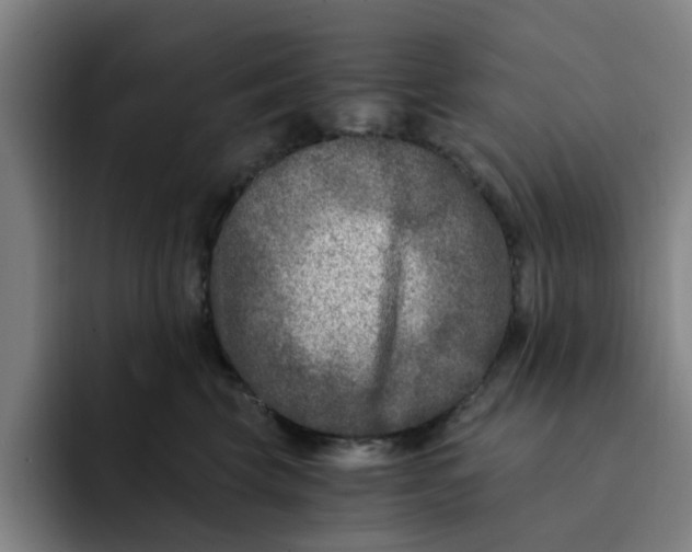 X0000091900569200709261700