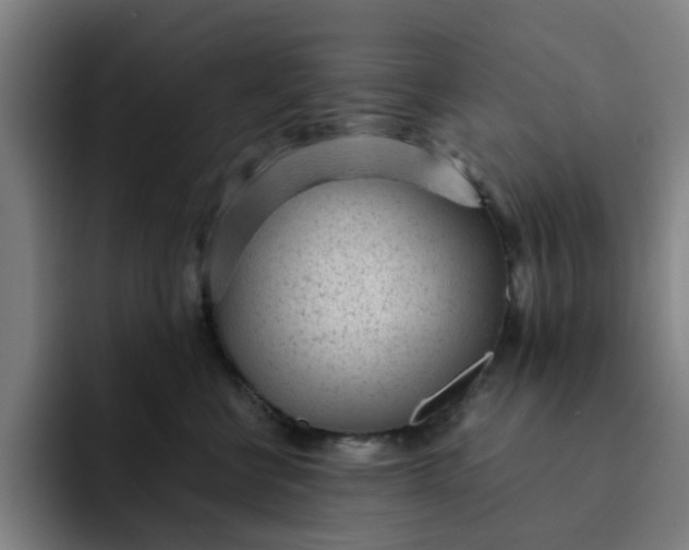 X0000091900570200709261700