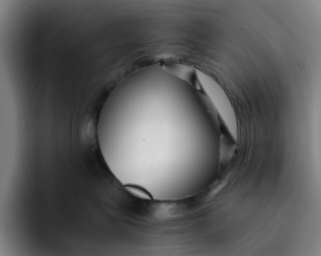 X0000091900575200709261700