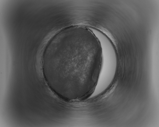 X0000091900577200709261659