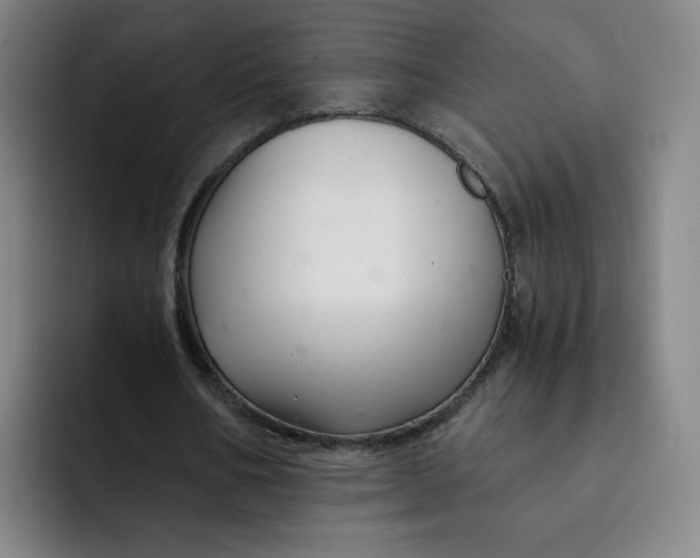 X0000091900578200709261659