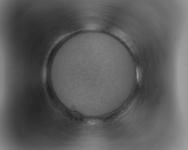 X0000091900579200709261659