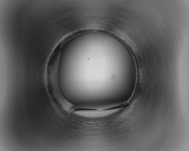 X0000091900580200709261659