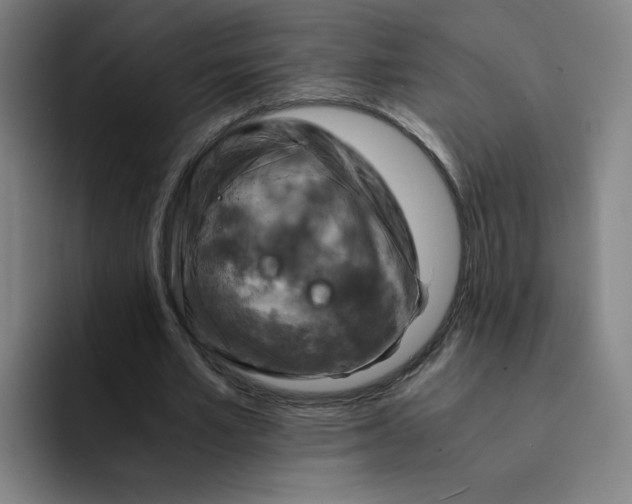 X0000091900581200709261659