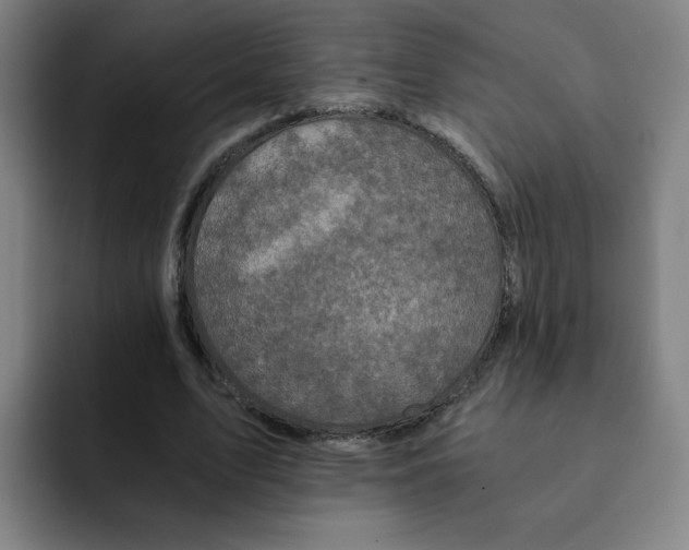 X0000091900583200709261659