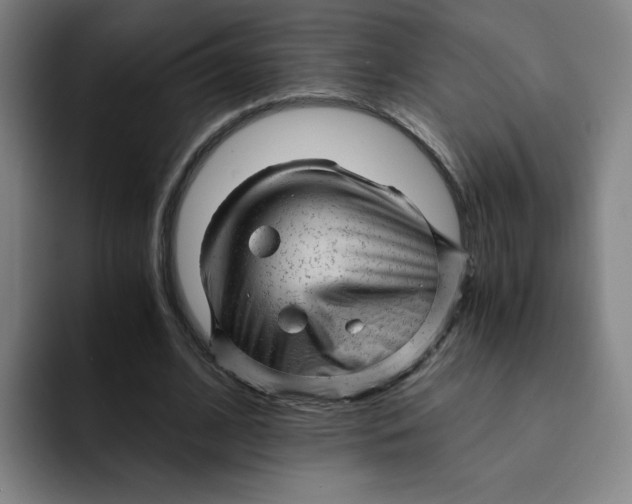 X0000091900584200709261659