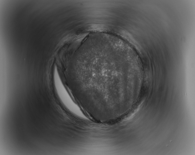 X0000091900585200709261659