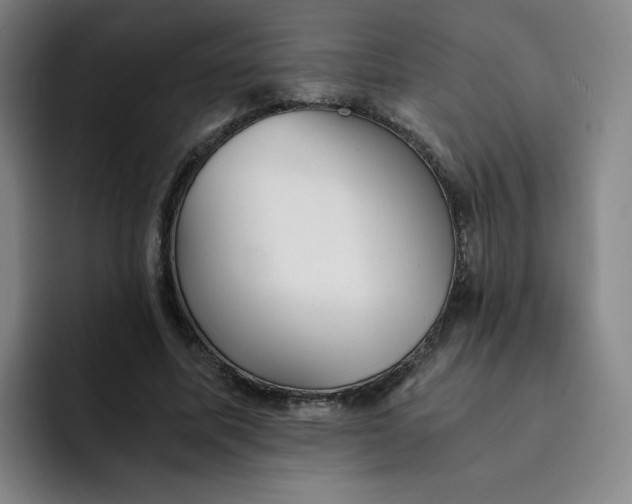 X0000091900587200709261659