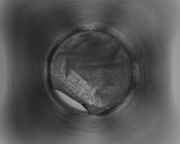 X0000091900590200709261659