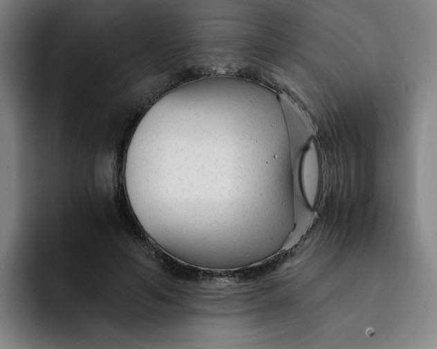 X0000091900594200709261659