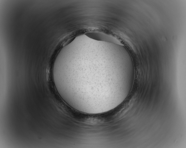 X0000091900596200709261659