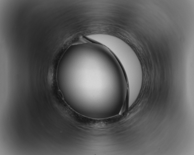 X0000091900600200709261659